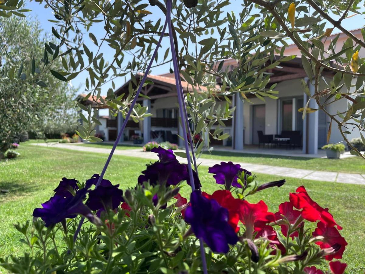 Residence La Pace - Pool & Relax Marina di Grosseto Eksteriør bilde