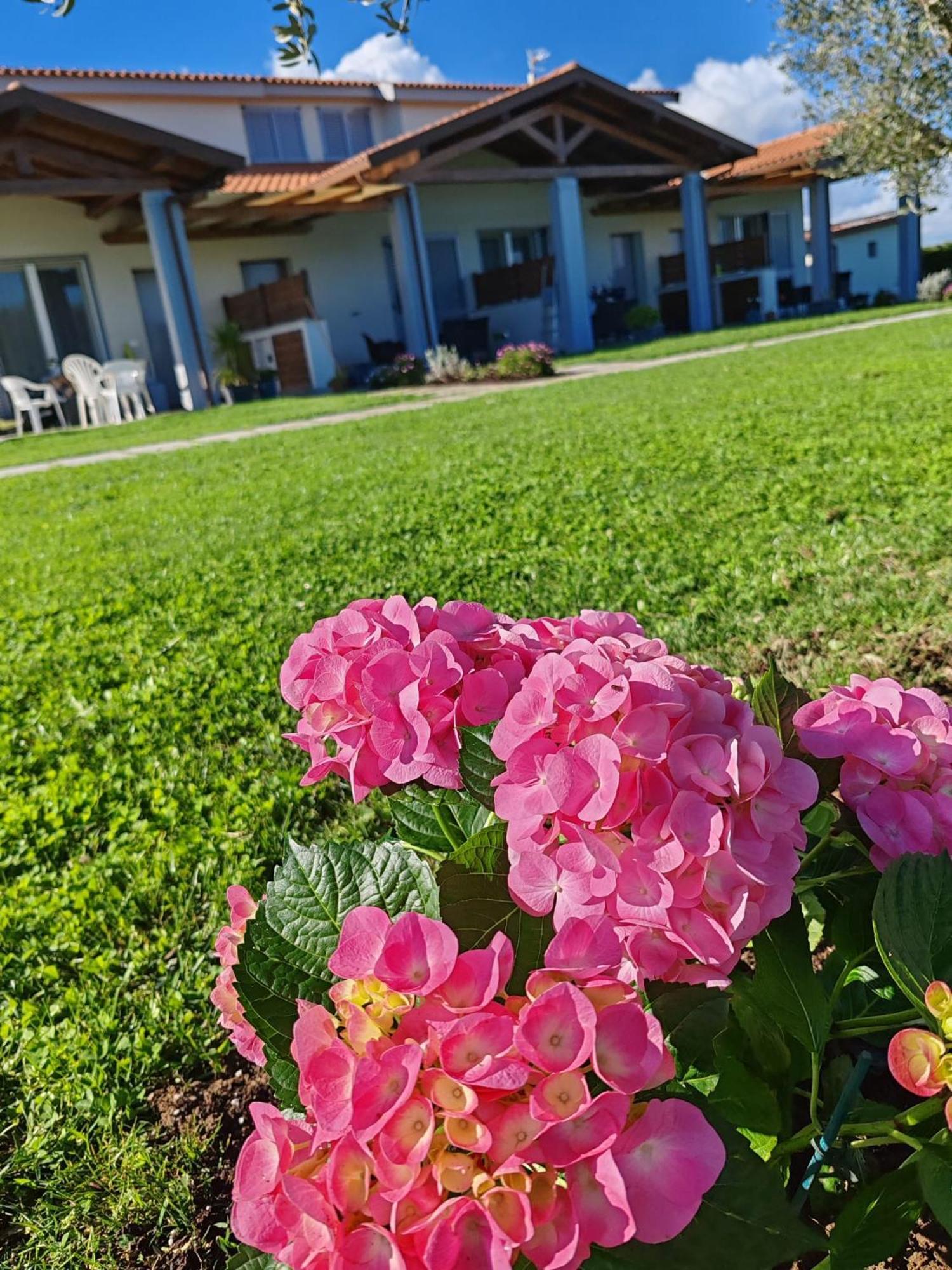 Residence La Pace - Pool & Relax Marina di Grosseto Eksteriør bilde