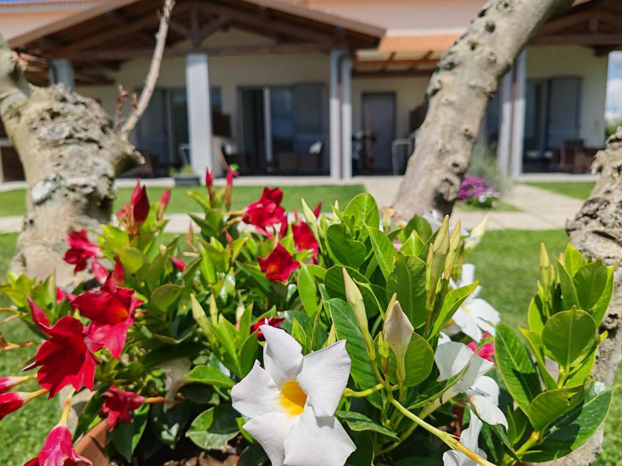Residence La Pace - Pool & Relax Marina di Grosseto Eksteriør bilde