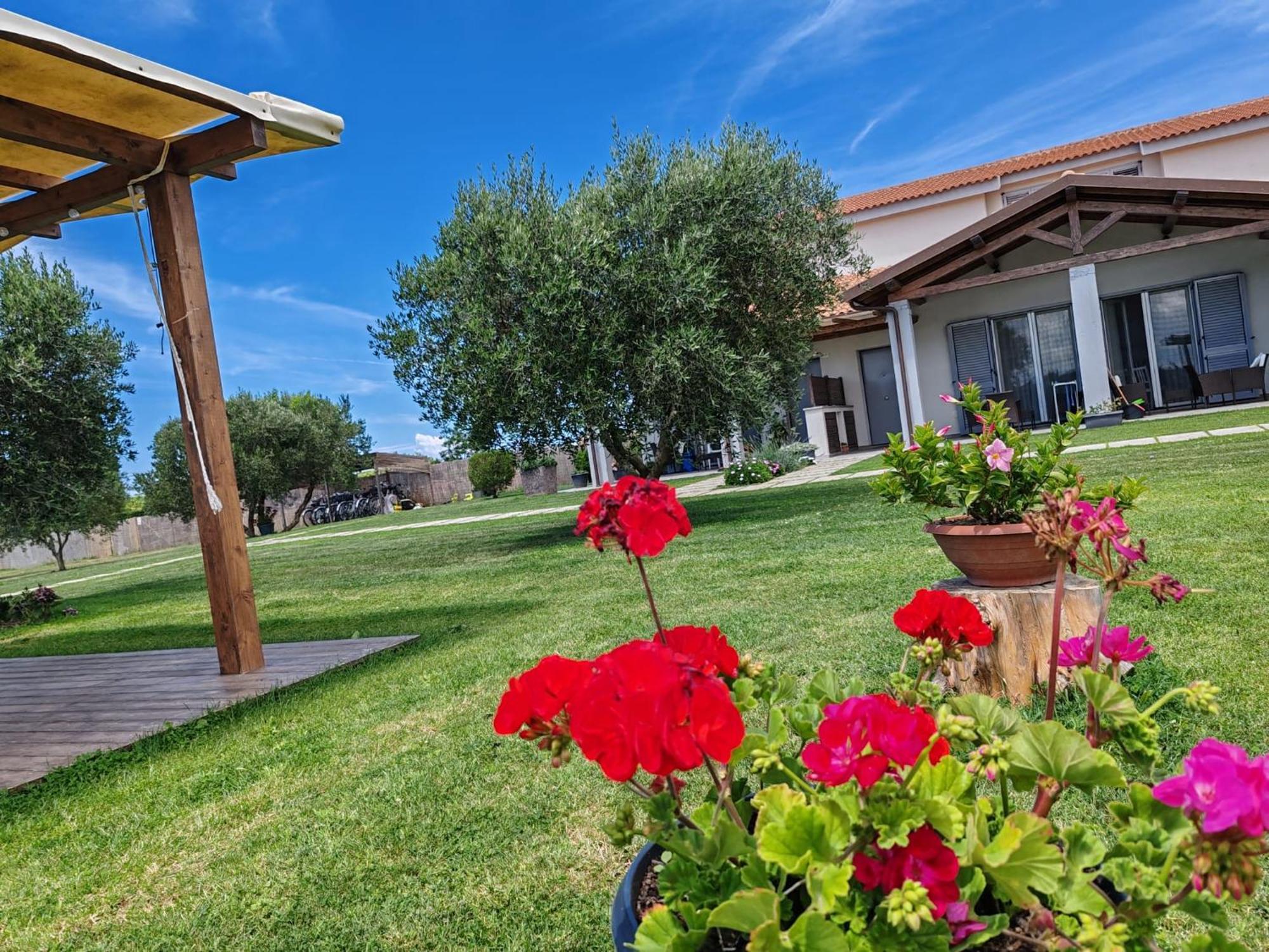 Residence La Pace - Pool & Relax Marina di Grosseto Eksteriør bilde